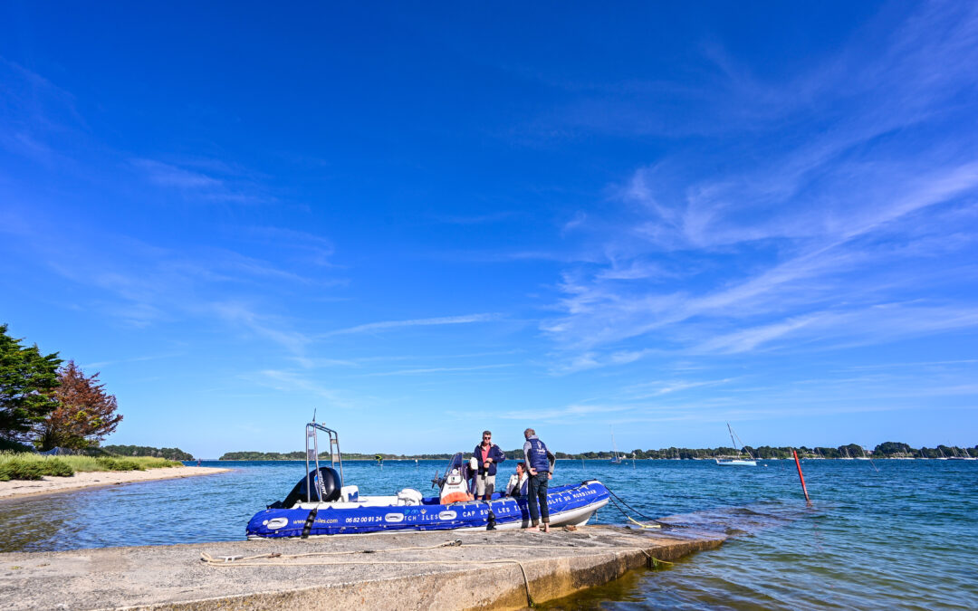 Escale sur une île du Golfe du Morbihan